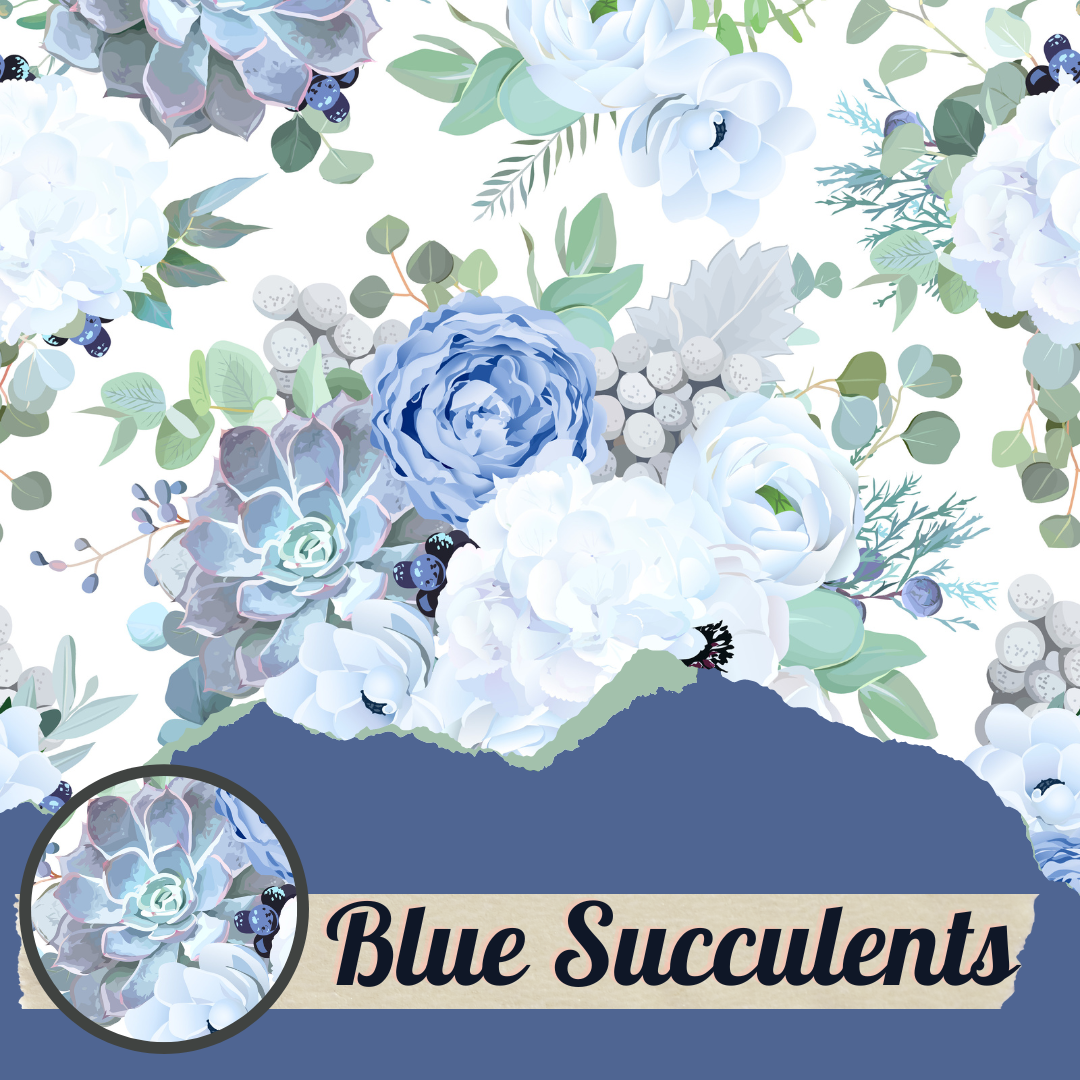 Blue Succulents