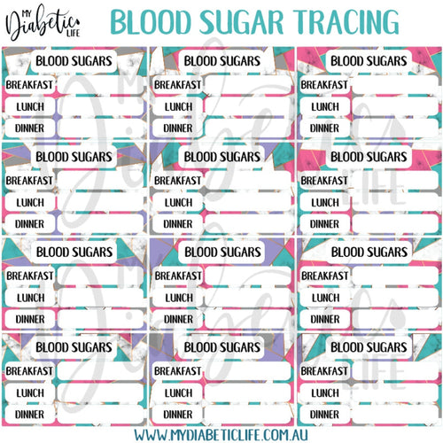 Colour Blocking - 12 Blood Sugar Trackers For Planners Stickers
