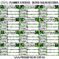 Geo Green Camo - 12 Blood Sugar Trackers For Planners Stickers