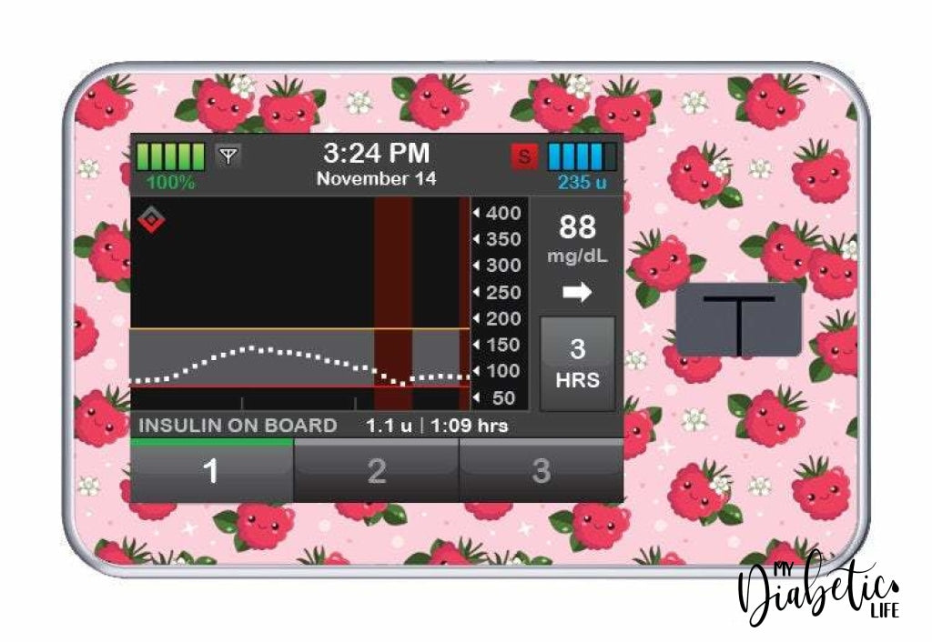 Raspberry Buddies - Tandem Tslim x2 Pump Peel, skin and Decal, insulin pump sticker - MyDiabeticLife