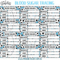 Soccer Mad - 12 Blood Sugar Trackers For Planners Stickers