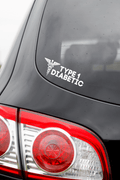 Type 1 Diabetic with Medical Symbol, medical conditions, type one diabetic, car bumper sticker - MyDiabeticLife