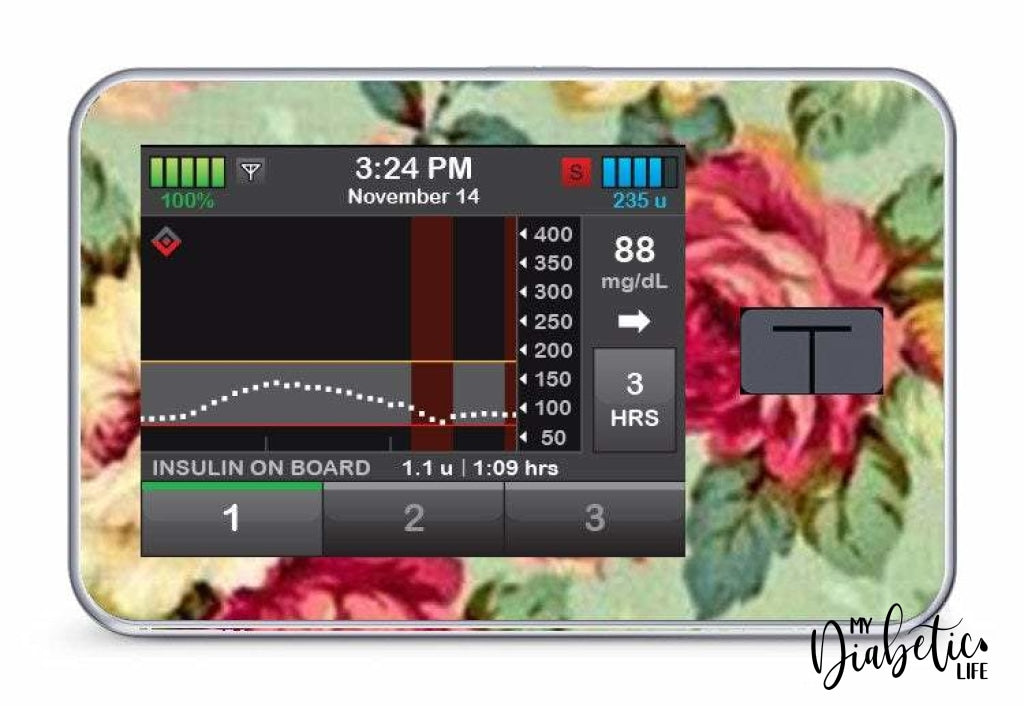 Vintage Mint Peoney Roses - Tandem Tslim x2 Pump Peel, skin and Decal, insulin pump sticker - MyDiabeticLife