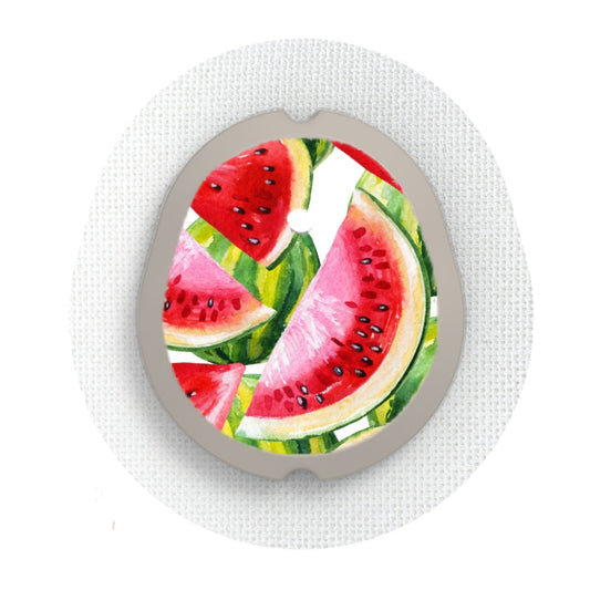 Watermelon Slices - Dexcom G7 Sticker